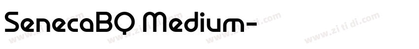SenecaBQ Medium字体转换